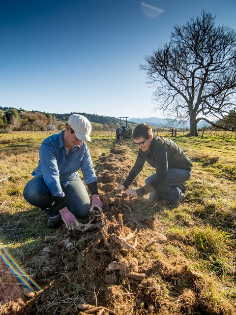 award winning Pure Peony natural eczema cream showcased on RNZ Kim Hill