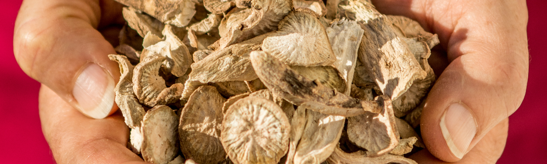 Your Questions About Natural Remedies for Eczema – Answered