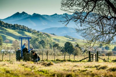 Dove River Peonies home of Pure Peony skincare for dry itchy eczema rosacea and psorasis 