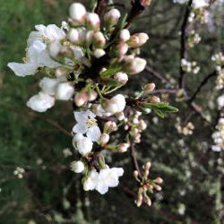 best skincare guide for spring and change of season for people with dry, itchy, red skin