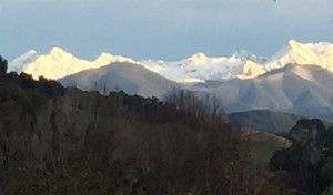 winter mountain view from Dove River Peonies home of certified organic peony root for Pure Peony natural skincare